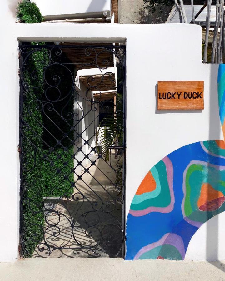 Lucky Duck Pj Ξενοδοχείο Κανκούν Εξωτερικό φωτογραφία