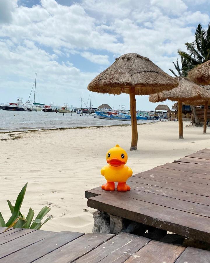 Lucky Duck Pj Ξενοδοχείο Κανκούν Εξωτερικό φωτογραφία