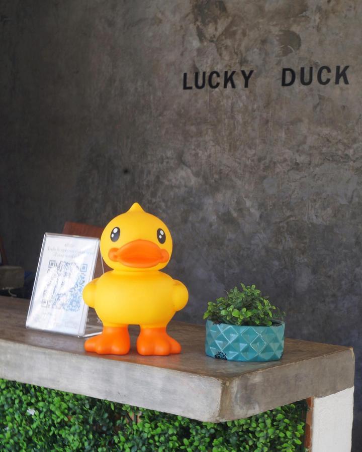 Lucky Duck Pj Ξενοδοχείο Κανκούν Εξωτερικό φωτογραφία